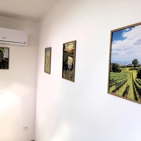 Habitación en casa particular Víno Andrusiów